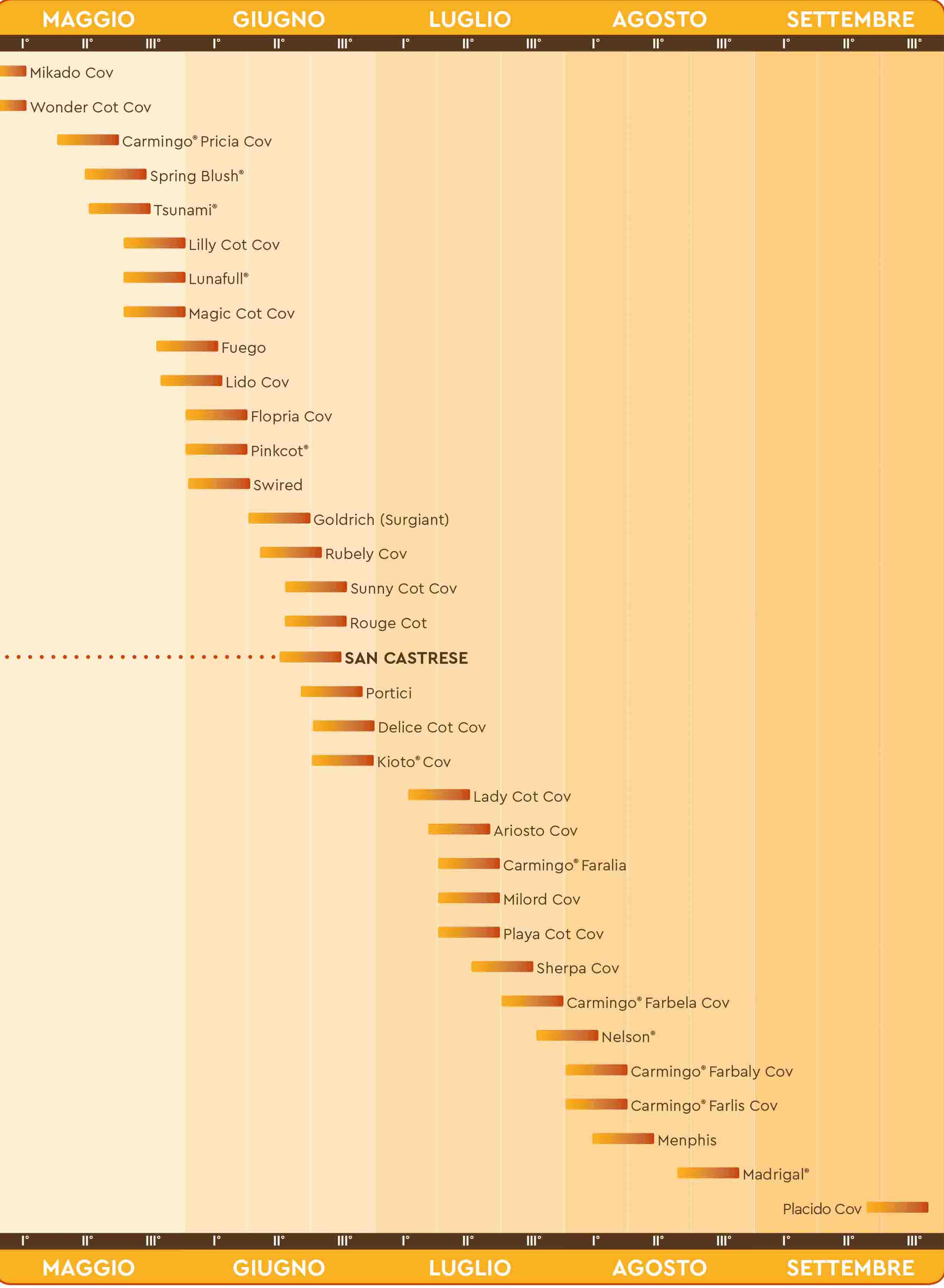 fornire le epoche di maturazione albicocche Dalmonte