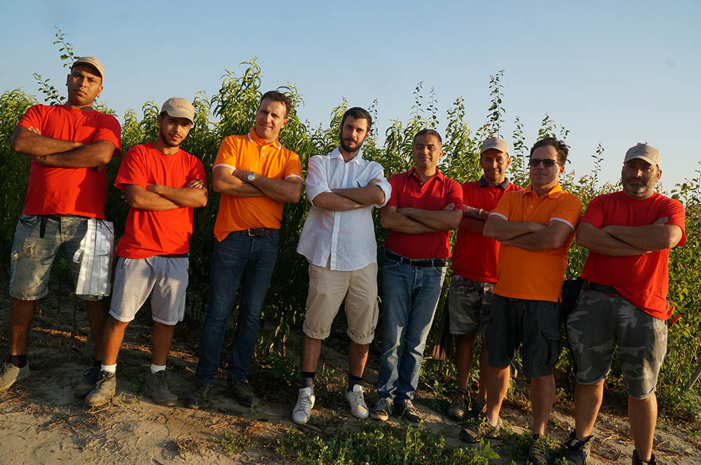 dalmonte vivai dalmonte vivai