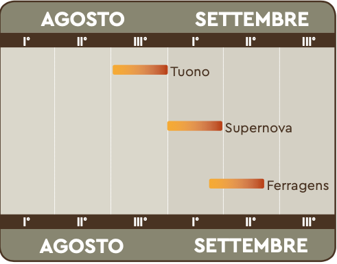 Epoca di maturazione mandorlo dalmonte vivai vendita piante da frutto