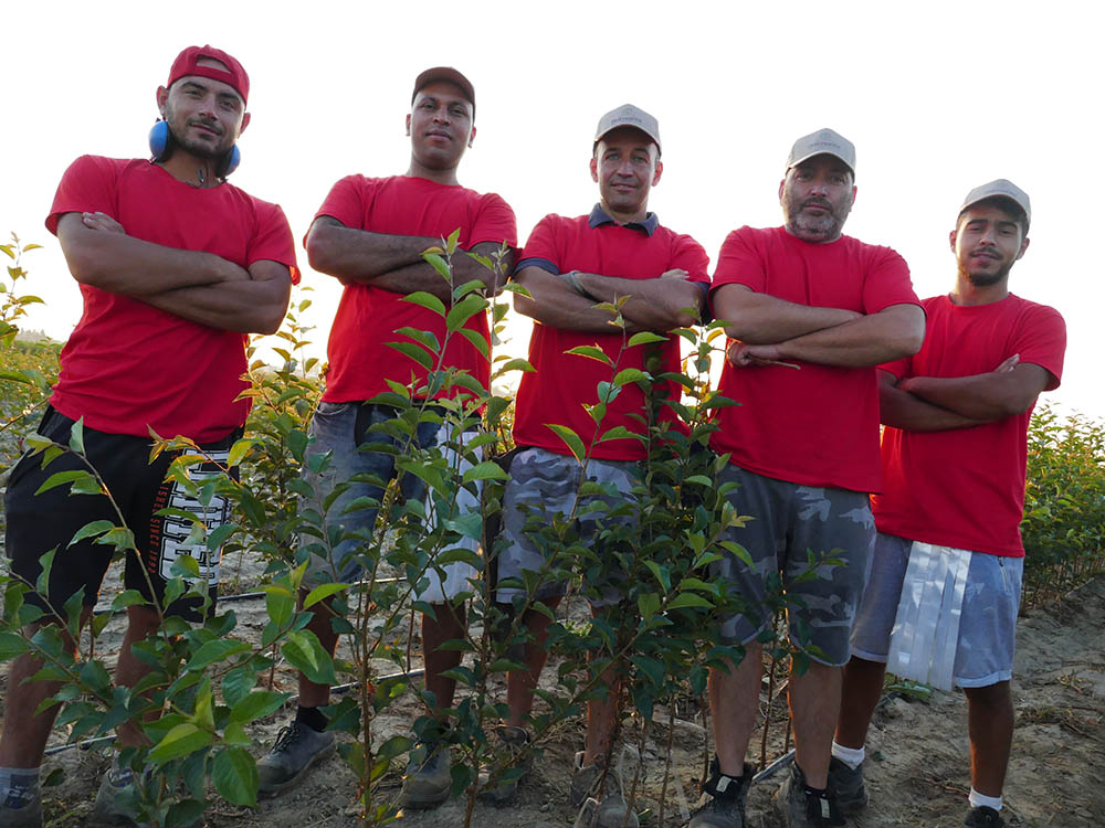 Lavora con noi dalmonte vivai